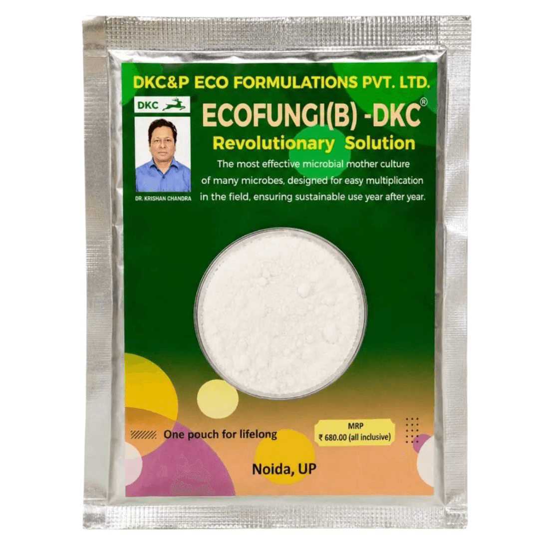 ECOFUNGI(B) - DKC