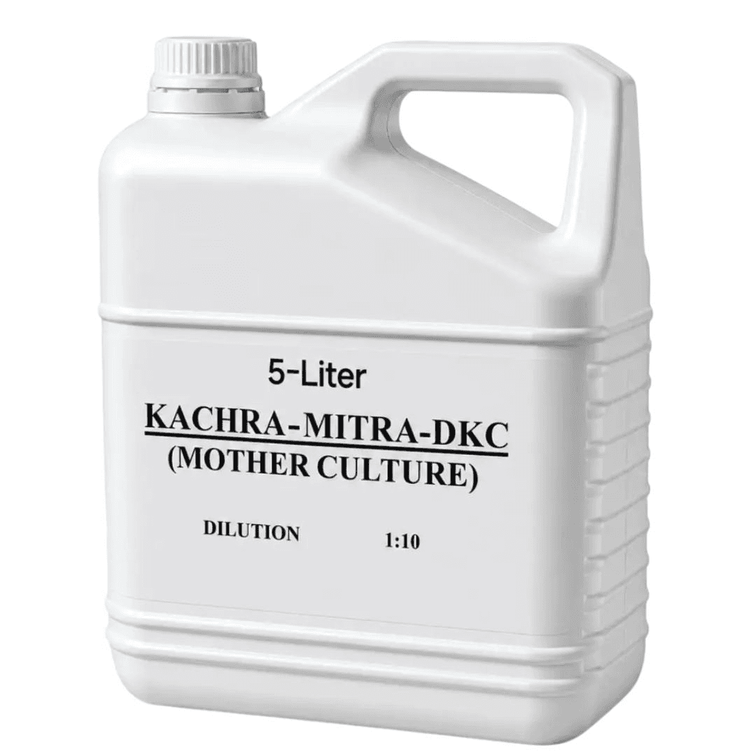 KACHARA MITRA – DKC