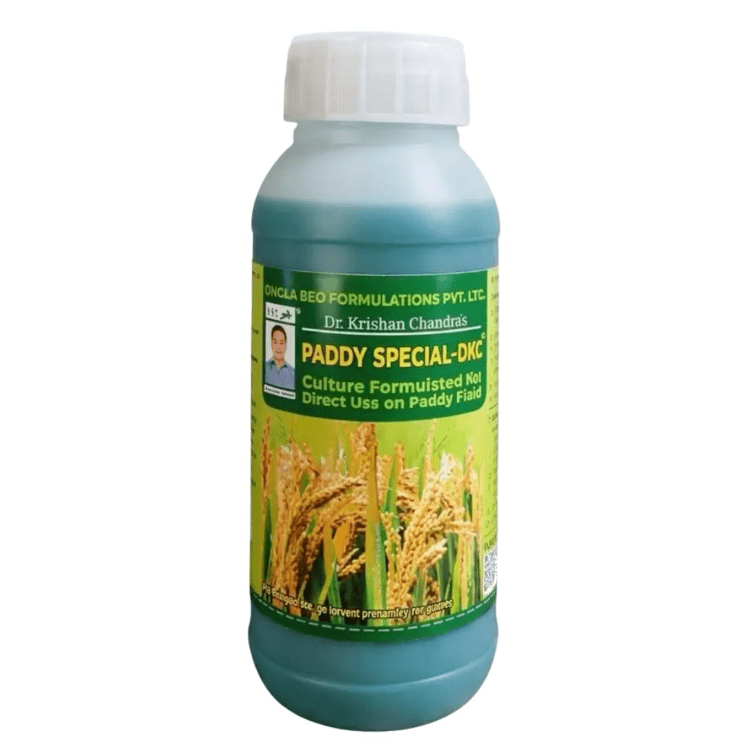 PADDY SPECIAL - DKC