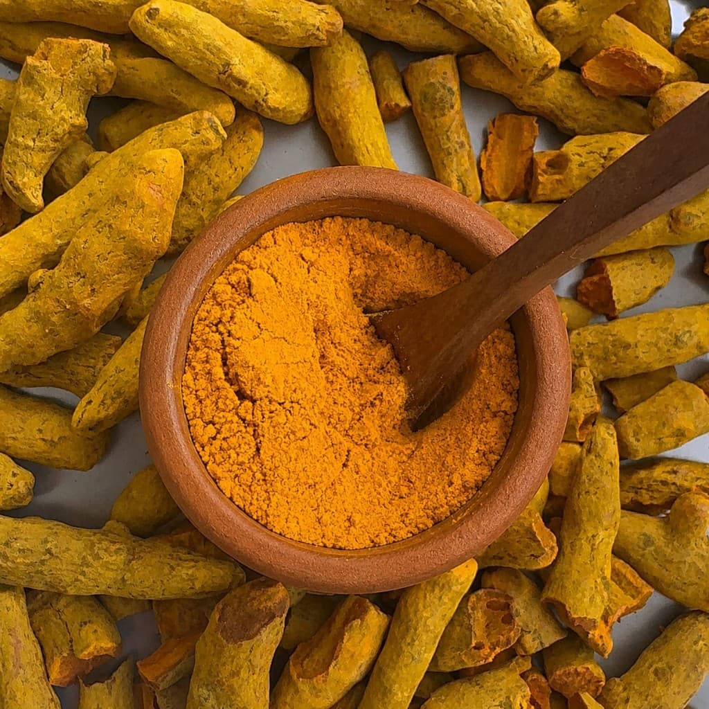 Turmeric powder in a bowl with fresh turmeric roots