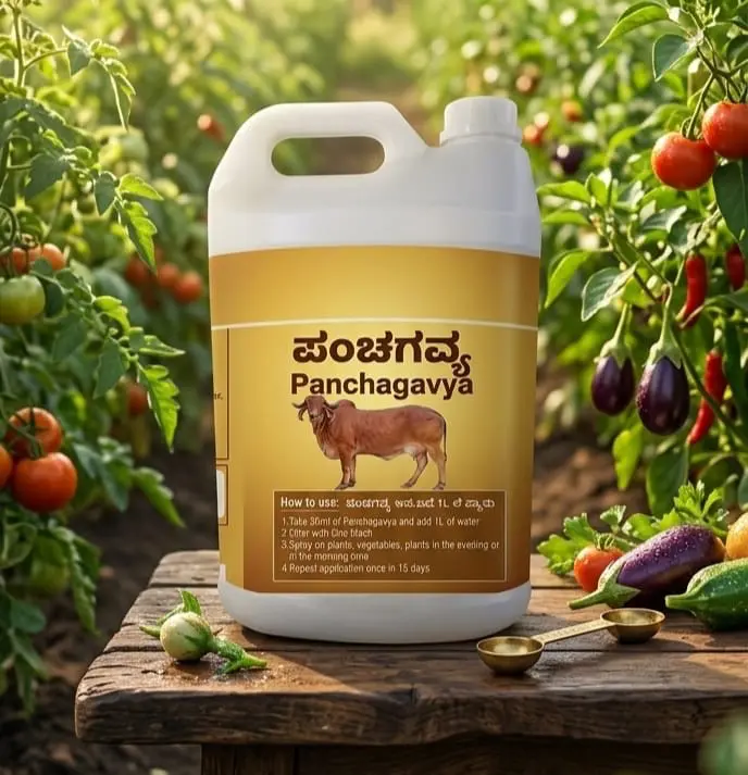OWDC-DKC and organic farm products